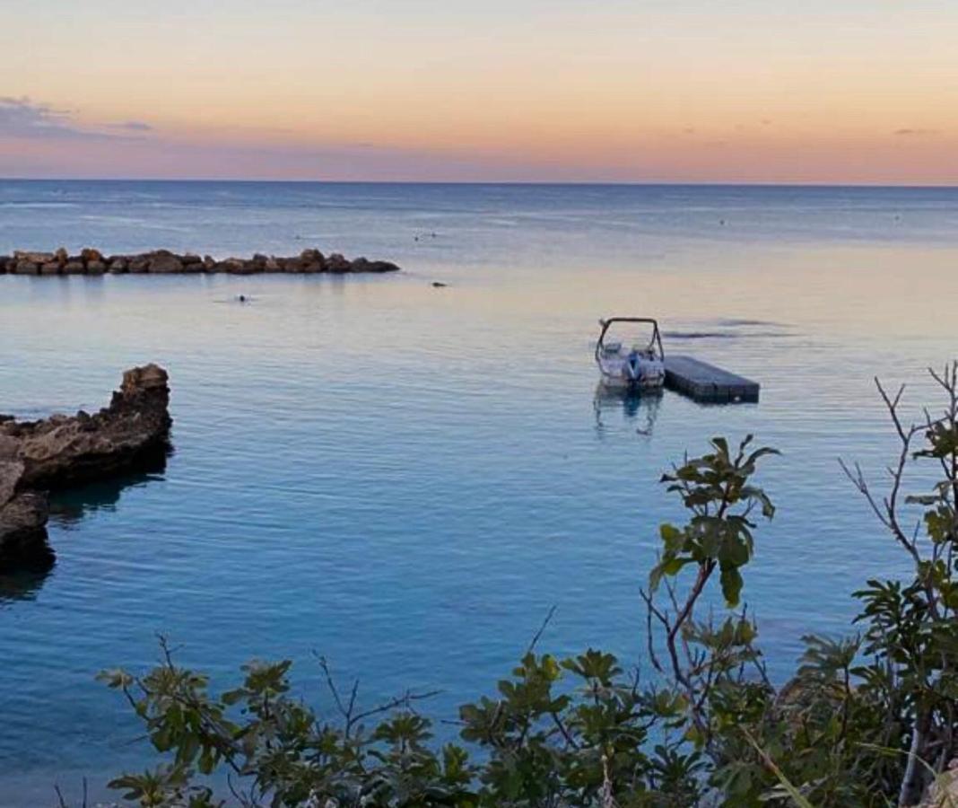 Palma Villa 14 Πρωταράς Εξωτερικό φωτογραφία